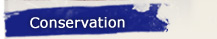 Conservation